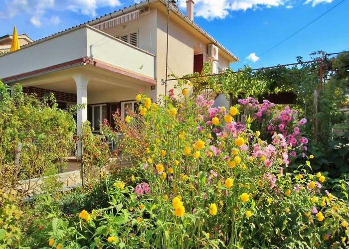Dragica By Interhome Apartmán